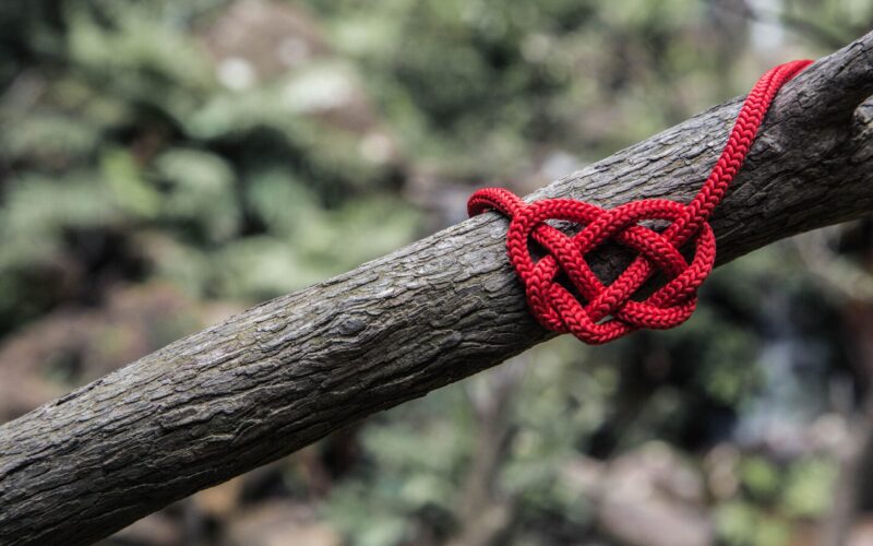Bring Joy Into Your Last Valentine’s Day as a Single Woman